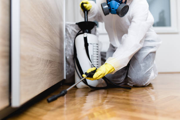 Best Emergency Pest Control  in Galatia, IL