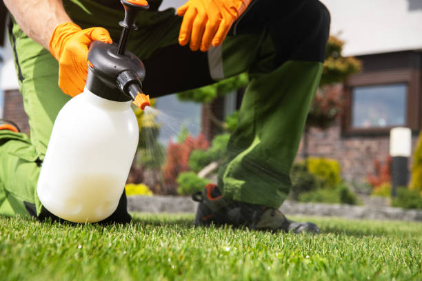 Best Termite Control Services  in Galatia, IL