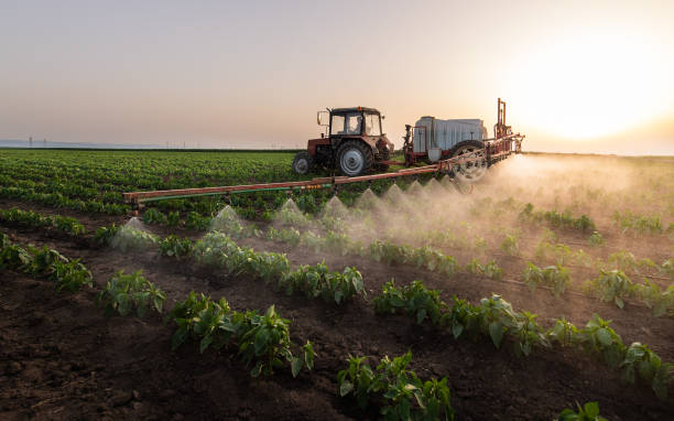 Best Commercial Pest Control Services  in Galatia, IL